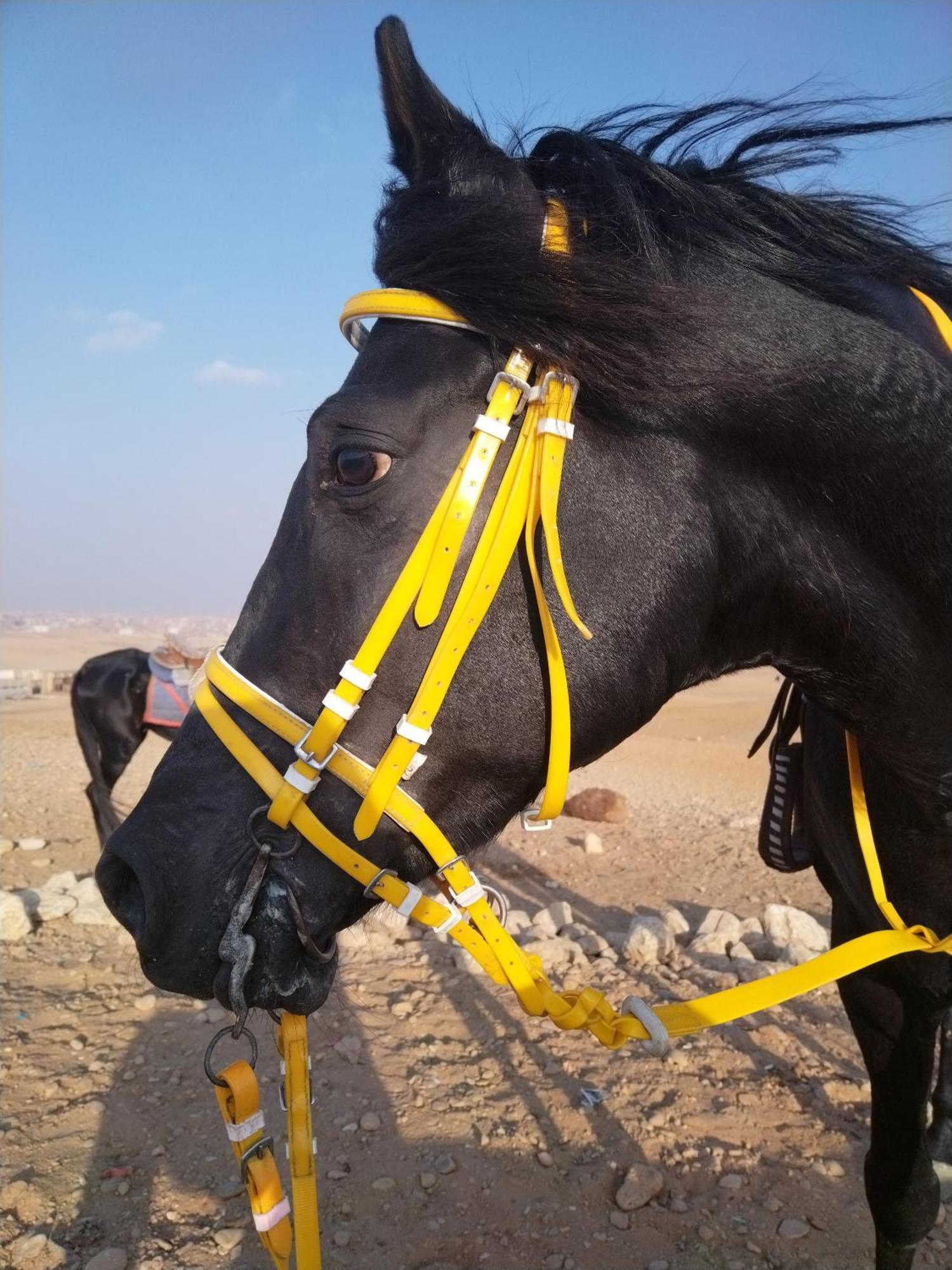Mesho Falcon Pyramids View Inn Kafrat al Jabal Exterior photo