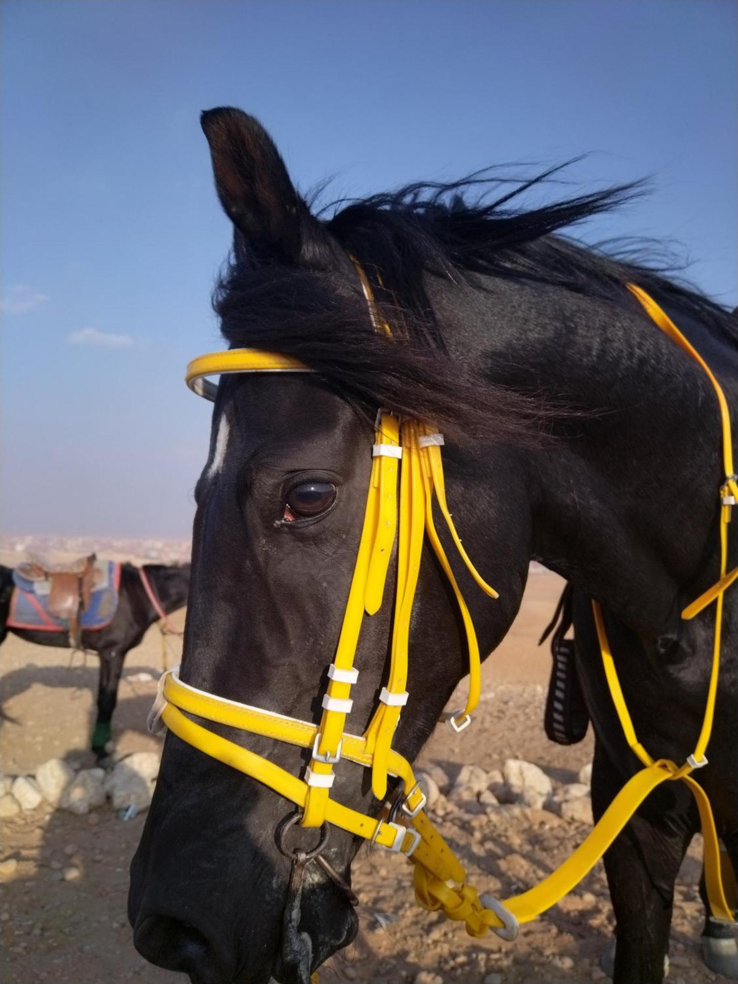Mesho Falcon Pyramids View Inn Kafrat al Jabal Exterior photo